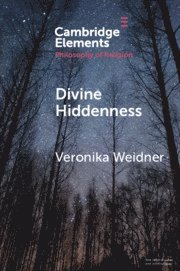 bokomslag Divine Hiddenness