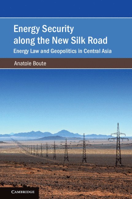 Energy Security along the New Silk Road 1