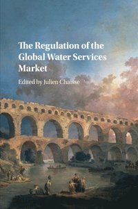 bokomslag The Regulation of the Global Water Services Market