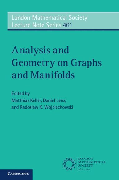 Matthias Keller, Daniel Lenz, Radoslaw K. Wojciechowski - Analysis and Geometry on Graphs and Manifolds, Häftad