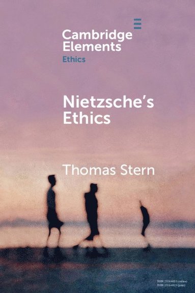 bokomslag Nietzsche's Ethics