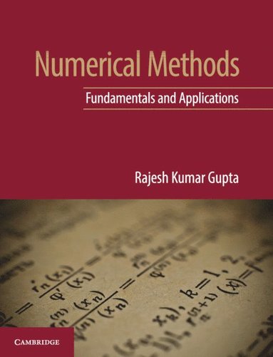 bokomslag Numerical Methods