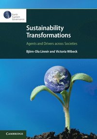 bokomslag Sustainability Transformations