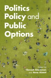 bokomslag Politics, Policy, and Public Options