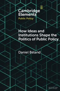 bokomslag How Ideas and Institutions Shape the Politics of Public Policy