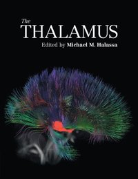bokomslag Thalamus
