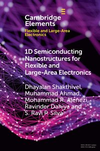 bokomslag 1D Semiconducting Nanostructures for Flexible and Large-Area Electronics