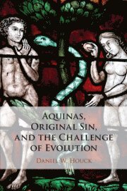 bokomslag Aquinas, Original Sin, and the Challenge of Evolution