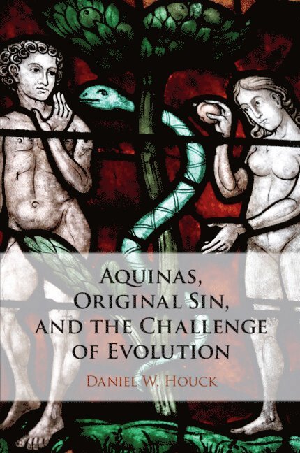 Daniel W. Houck, Daniel W Houck - Aquinas, Original Sin, and the Challenge of Evolution, Häftad
