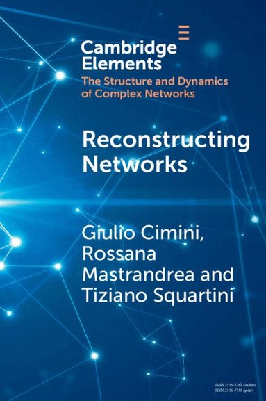 Giulio Cimini, Rossana Mastrandrea, Tiziano Squartini - Reconstructing Networks, Häftad