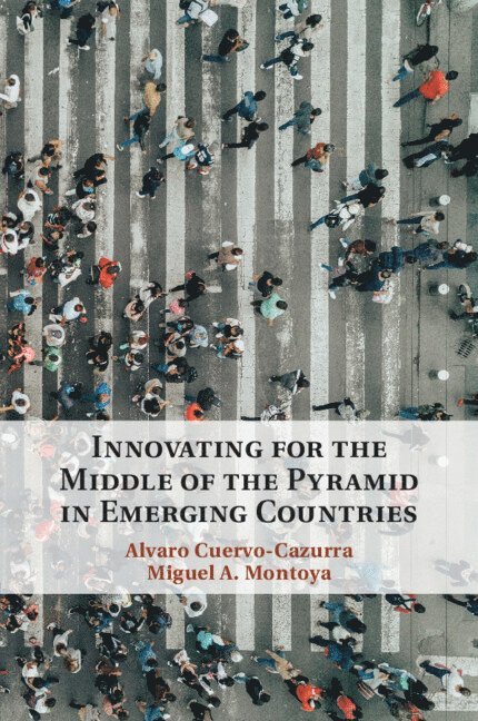 Innovating for the Middle of the Pyramid in Emerging Countries 1