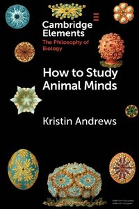 bokomslag How to Study Animal Minds