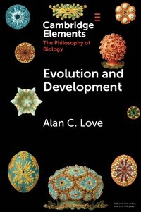 bokomslag Evolution and Development