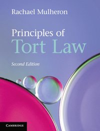 bokomslag Principles of Tort Law