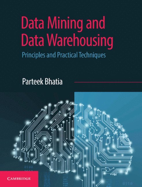 Data Mining and Data Warehousing 1