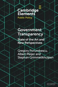 bokomslag Government Transparency