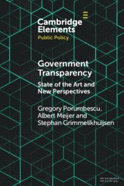 bokomslag Government Transparency