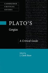 bokomslag Plato's Gorgias