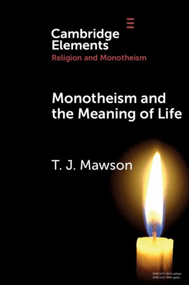 T. J. Mawson - Monotheism and the Meaning of Life, Häftad