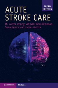 bokomslag Acute Stroke Care