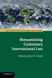 bokomslag Reexamining Customary International Law