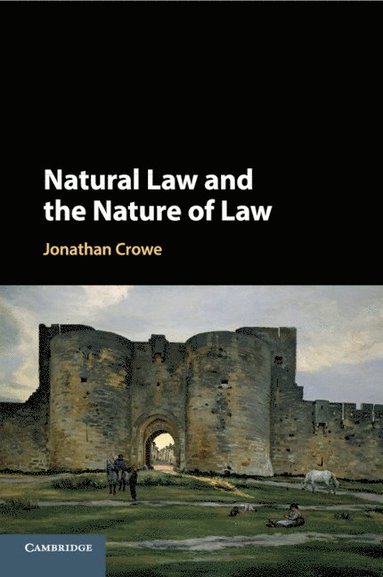 bokomslag Natural Law and the Nature of Law