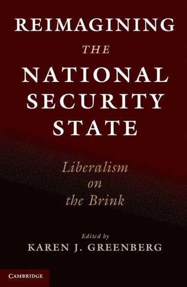 bokomslag Reimagining the National Security State