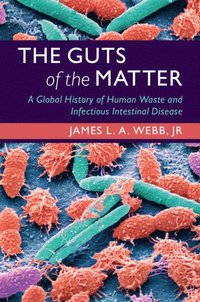 bokomslag Guts of the Matter
