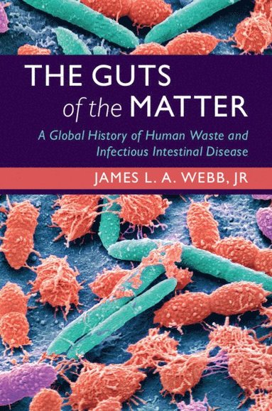 bokomslag Guts of the Matter