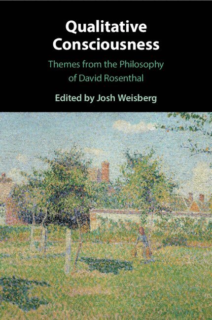 Josh Weisberg, Josh (University of Houston) Weisberg - Qualitative Consciousness, Häftad