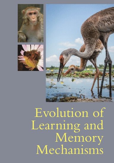 bokomslag Evolution of Learning and Memory Mechanisms