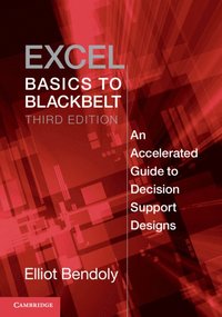 bokomslag Excel Basics to Blackbelt