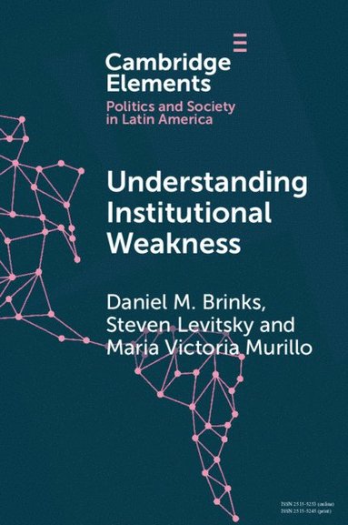 bokomslag Understanding Institutional Weakness
