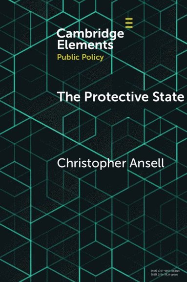bokomslag The Protective State