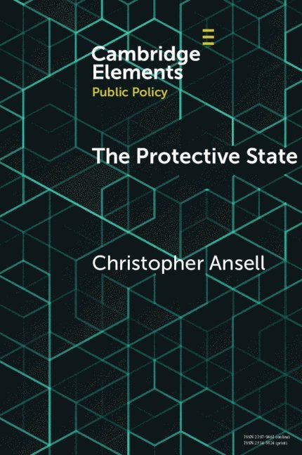 The Protective State 1