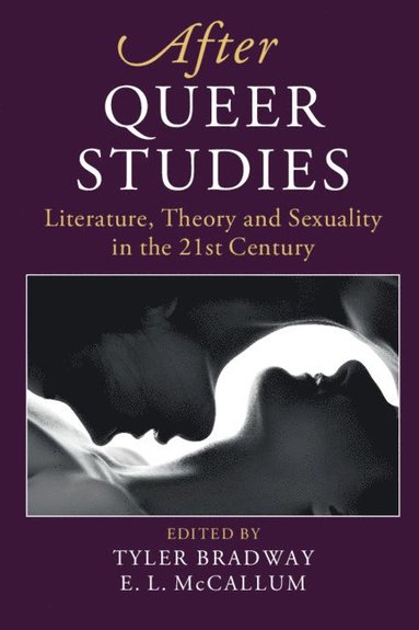 bokomslag After Queer Studies