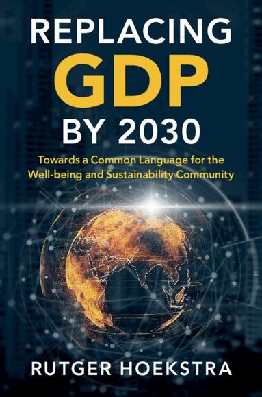 Rutger Hoekstra - Replacing GDP by 2030, Häftad