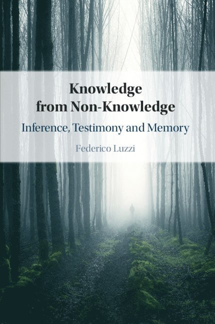 Federico Luzzi, Federico (University of Aberdeen) Luzzi - Knowledge from Non-Knowledge, Häftad