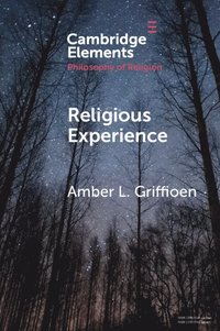 bokomslag Religious Experience