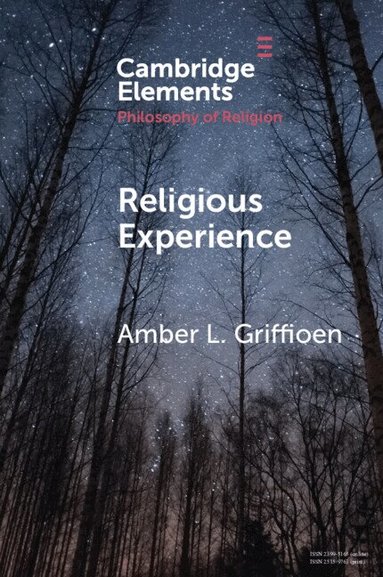 Amber L. Griffioen - Religious Experience, Häftad