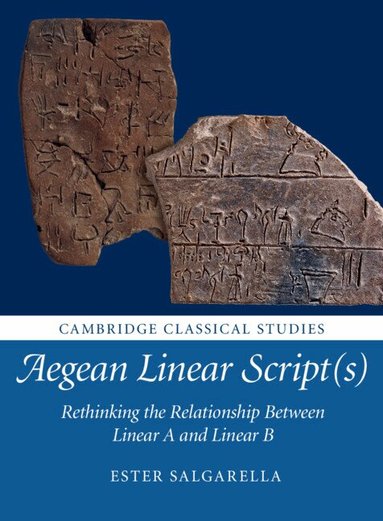 Ester Salgarella - Aegean Linear Script(s), Häftad