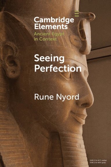 Rune Nyord - Seeing Perfection, Häftad