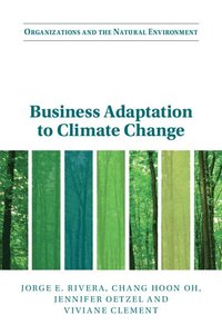 bokomslag Business Adaptation to Climate Change