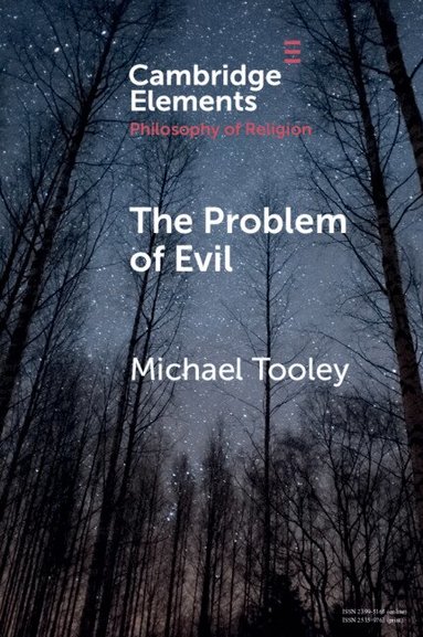 Michael Tooley - The Problem of Evil, Häftad