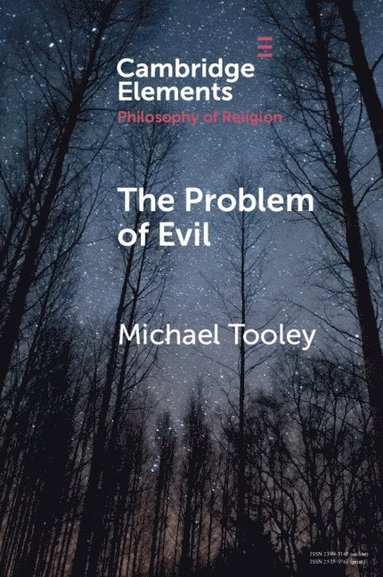 bokomslag The Problem of Evil