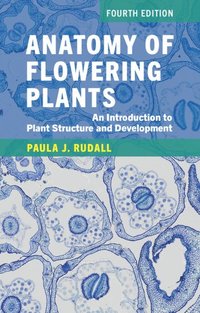 bokomslag Anatomy of Flowering Plants