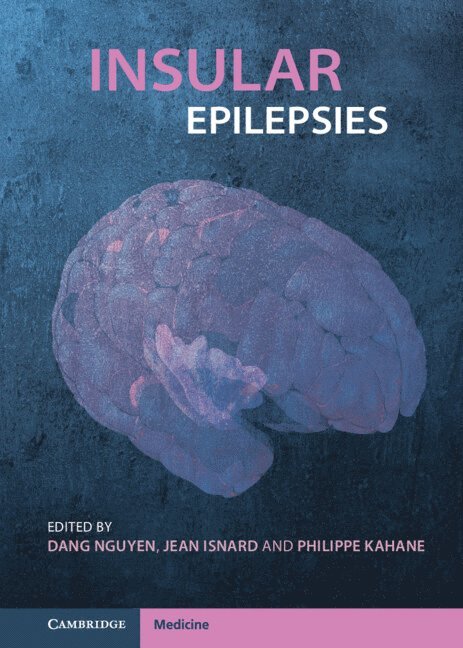 Insular Epilepsies 1