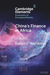 bokomslag China's Finance in Africa