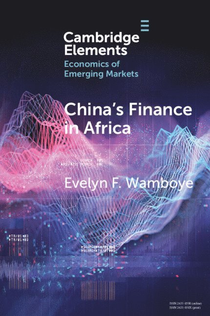 China's Finance in Africa 1