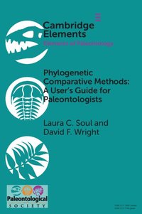 bokomslag Phylogenetic Comparative Methods: A User's Guide for Paleontologists